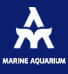 Marine Aquarium